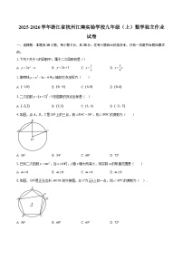 2025-2026学年浙江省杭州江南实验学校九年级（上）数学独立作业试卷-自定义类型