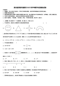 四川省资阳市简阳市2025年中考数学全真模拟试题含解析
