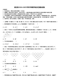 墨玉县2024-2025学年中考数学适应性模拟试题含解析