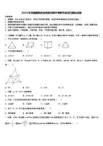 2025年甘南藏族自治州夏河县中考数学适应性模拟试题含解析