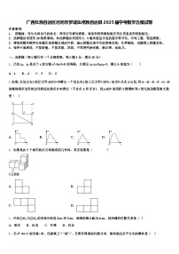 广西壮族自治区河池市罗城仫佬族自治县2025届中考数学五模试卷含解析