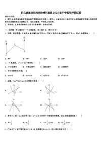 黔东南苗族侗族自治州丹寨县2025年中考数学押题试卷含解析