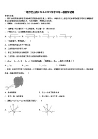 十堰市竹山县2024-2025学年中考一模数学试题含解析