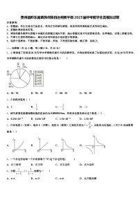 贵州省黔东南苗族侗族自治州黄平县2025届中考数学全真模拟试卷含解析