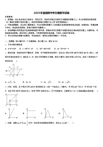 2025年涡阳县中考五模数学试题含解析