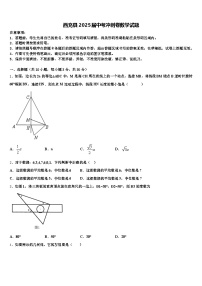 西充县2025届中考冲刺卷数学试题含解析