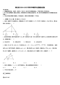 榆社县2024-2025学年中考数学全真模拟试题含解析