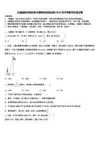 云南省临沧地区耿马傣族佤族自治县2025年中考数学仿真试卷含解析