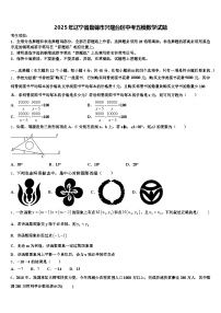 2025年辽宁省盘锦市兴隆台区中考五模数学试题含解析