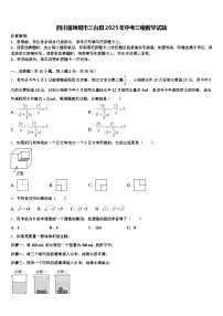 四川省绵阳市三台县2025年中考三模数学试题含解析