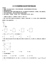 2025年巴音郭楞蒙古自治州中考数学模拟试题含解析