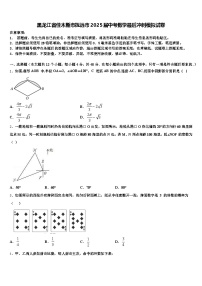 黑龙江省佳木斯市抚远市2025届中考数学最后冲刺模拟试卷含解析