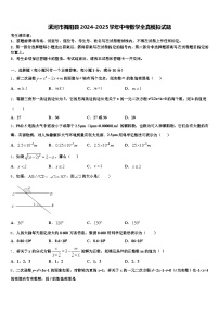 漯河市舞阳县2024-2025学年中考数学全真模拟试题含解析
