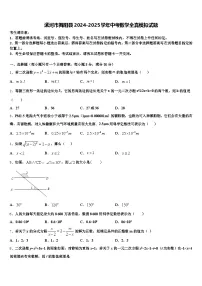 漯河市舞阳县2024-2025学年中考数学全真模拟试题含解析