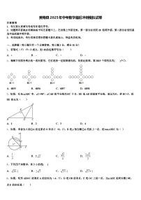 黄梅县2025年中考数学最后冲刺模拟试卷含解析