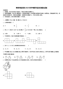 郴州市临武县2025年中考数学适应性模拟试题含解析