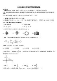 2025年周口市沈丘县中考数学模拟试题含解析
