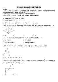 焦作市武陟县2025年中考数学模拟试题含解析