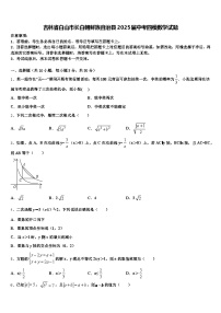 吉林省白山市长白朝鲜族自治县2025届中考四模数学试题含解析