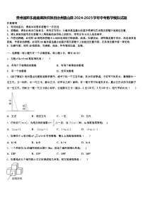 贵州省黔东南南苗族侗族自治州雷山县2024-2025学年中考数学模拟试题含解析