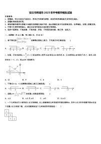安庆市桐城市2025年中考数学模拟试题含解析