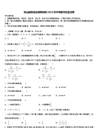 凉山彝族自治州美姑县2025年中考数学仿真试卷含解析
