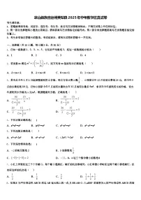 凉山彝族自治州美姑县2025年中考数学仿真试卷含解析