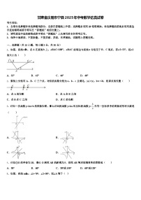 甘肃省庆阳市宁县2025年中考数学仿真试卷含解析