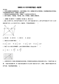 和硕县2025年中考数学最后一模试卷含解析