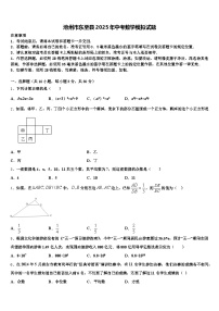 池州市东至县2025年中考数学模拟试题含解析