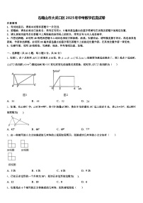 石嘴山市大武口区2025年中考数学仿真试卷含解析