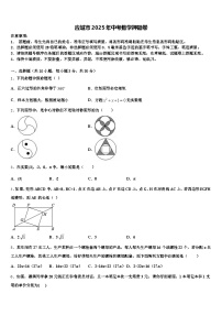应城市2025年中考数学押题卷含解析