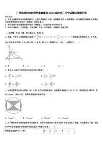 广西壮族自治区柳州市鹿寨县2025届毕业升学考试模拟卷数学卷含解析