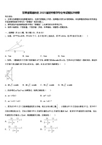 甘肃省陇南地区2025届初中数学毕业考试模拟冲刺卷含解析
