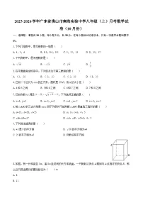 2025-2026学年广东省佛山市南海实验中学八年级（上）月考数学试卷（10月份）-自定义类型