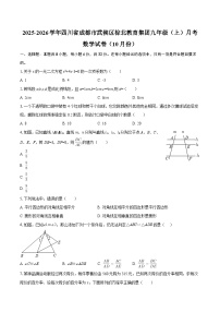 2025-2026学年四川省成都市武侯区棕北教育集团九年级（上）月考数学试卷（10月份）-自定义类型