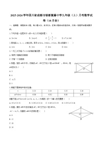 2025-2026学年四川省成都市银都紫藤中学九年级（上）月考数学试卷（10月份）-自定义类型