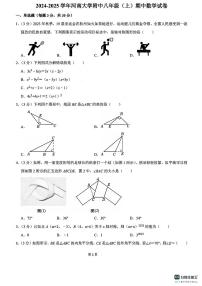 河南省郑州市河南大学附属中学2024-2025学年上学期八年级期中数学试卷