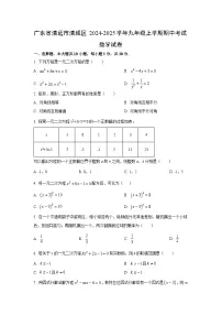 广东省清远市清城区2024-2025学年九年级上学期期中考试数学试卷（学生版）