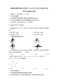湖南省湘西自治州吉首市2024-2025学年八年级上学期期中考试数学试卷（学生版）