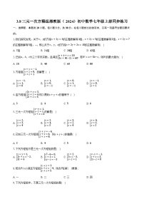 初中数学三元一次方程组精品习题