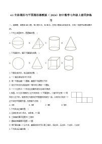 初中立体图形与平面图形精品课时作业