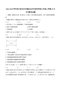 2024-2025学年四川省达州市渠县达州外国语学校九年级上学期10月月考数学试题-自定义类型