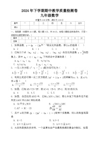 湖南省娄底市涟源市2024-2025学年九年级上学期11月期中数学试题
