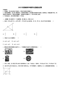2025年青神县中考数学全真模拟试卷含解析