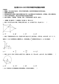 陆川县2024-2025学年中考数学考试模拟冲刺卷含解析