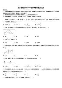 山东省烟台市2025届中考数学仿真试卷含解析