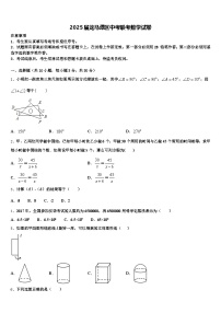2025届龙马潭区中考联考数学试卷含解析