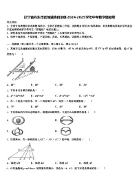 辽宁省丹东市宽甸满族自治县2024-2025学年中考数学猜题卷含解析