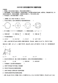 2025年三亚市吉阳区中考三模数学试题含解析